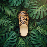 OOFY Flops Amazonia